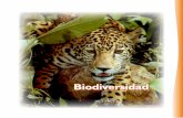 Biodiversidadmtodo-iv-405.yolasite.com/resources/BIODIVERSIDAD MEX EN RIESGO.pdf · En los tres niveles en los que se considera a la biodiversidad (genes, especies y ecosistemas),