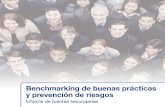 Benchmarking de buenas prácticas y prevención de riesgos · Informe de fuentes secundarias 3 ... y de mayor calado centrado en el análisis y estudio comparativo de las Buenas Prácticas