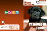 CATÁLOGO DE CURSOS · 2014-01-30 · psicologia canina y felina herpetologia (reptiles) peluqueria y estetica canina avanzada analitica de animales de compaÑÍa especialista en