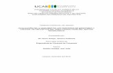 UNIVERSIDAD CATÓLICA ANDRES BELLO VICERRECTORADO …biblioteca2.ucab.edu.ve/anexos/biblioteca/marc/texto/AAT4232.pdf · desarrollar el nivel de madurez actual en gestión de proyectos,