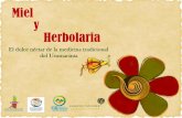 Miel y Herbolaria · *Sábila (Aloe vera) el gel posee propiedades antisépticas, bactericidas, antiinflamatorias y regeneradoras de la piel, actúa como una barrera natural de la