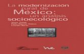 Toledo Preliminares - PAOTcentro.paot.org.mx/documentos/ine/moder_mex.pdf · 10 sinos y fenómenos más recientes de transformación agraria, jurídica ... parte del capítulo 4,