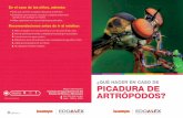 picadura de artropodos - issemym.gob.mx · Title: picadura de artropodos Created Date: 7/9/2019 1:15:27 PM