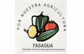 Objetivos de FASAGUAagromip.com.gt/ponencias /CONFERENCIAS SALON ONIX/1... · Objetivos de FASAGUA •Establecer mecanismos que garanticen a los productores asociados, para obtener