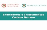 Indicadores e Instrumentos Cadena Banano · incremento en el valor de la tonelada de banano exportación del 14%, sin embargo, ... Preparación y siembra 641.222 Insumos 3.265.265