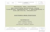 MANUAL DEL SISTEMA DE GESTIÓN INTEGRAL (SGI) CALIDAD ...puertochiapas.com.mx/documentos/2018_Manual_del_SGI.pdf · MANUAL DEL SISTEMA DE GESTIÓN INTEGRAL API-SM-SGI-M-01 Revisión
