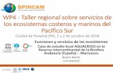 WP4 - Taller regional sobre servicios de los ecosistemas ...cpps.dyndns.info/cpps-docs-web/planaccion/docs2018... · y mental de las personas Abastecimiento: alimentos, materiales