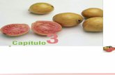 ESTUDIO EN GUAYABA INTERIOR.pdf, page 88 @ …bdigital.unal.edu.co/8536/20/05_Parte_01_Cap03.pdfcavidad interna de pulpa carnosa que contiene las semillas, y por el exo-carpo, que