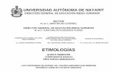 ETIMOLOGÍAS - Universidad Autónoma de Nayaritarchivos.uan.edu.mx/uaprepa1/Programas de Estudio... · La definición y características del bachillerato se derivan de las recomendaciones