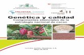 FUNDACIÓN HELVETAS HONDURAS Genética y calidad · campo durante el período 2012 al 2015, este proyecto ha sido financiado ... Se vincula al sector cacaotero desde el año 2009