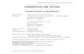 CV JPN 2013 - 148.206.50.175148.206.50.175/quimica/wp-content/uploads/Jefatura/... · Laboratorio di Chimica Inorganica dello Stato Solido. Università degli Studi di Firenze, 1995.