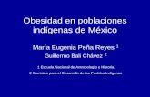 Obesidad en poblaciones indígenas de México...Los grupos son hablantes de tzeltal, tzotzil y tojolabal. Oaxaca En el sureste del país con una gran diversidad geográfica y étnica,