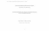 Universidad de Buenos Airesmaterias.fi.uba.ar/6911/vulnerabilidad_gw.pdf · 2004-03-31 · 69.11 Gestion Ambiental de los Recursos Hidricos – FI UBA 7 2. Métodos de evaluación
