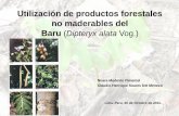 Utilización de productos forestales no maderables del Baru ... · escenario de producción más optimista, si las familias se apropiaran del proceso de producción, es decir, con