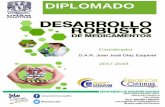 DIPLOMADO - Industria Farmacéutica Veterinariainfarvet.org.mx/wp-content/uploads/2017/09/Diplomado-DRM... · 2017-09-04 · Químico Farmacéutico Biólogo egresado de la FES Cuautitlán