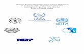 Informe del peritaje internacional sobre la aplicación de ... · Informe del peritaje internacional sobre la aplicación de las normas internacionales de protección ... responsables