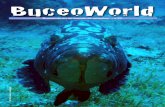 BuceoWorld · precie tendrá registrada en su logbookalmenosunainmersión en alguna de las Áreas Marinas Protegidasdenuestrascostas,y si aun no la tiene registrada, estará barajándola