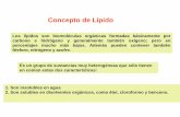 Concepto de Lípidowebdelprofesor.ula.ve/nucleotrujillo/materano/BIOQUIMICA/LIPIDOS/L1.pdf · 3. Función biocatalizadora. En este papel los lípidos favorecen o facilitan las reacciones