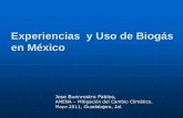 Experiencias y Uso de Biogás en México - AMENAamena.mx/memorias/EUBM_JBR.pdf · Digestores que provean de energía calórica y eléctrica a familias del campo Proporcionar un valor