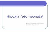 Hipoxia feto-neonatalcampus.usal.es/~ogyp/Clases teoricas 2013 2014/Neonatologia/Hipoxia... · Hipoxia feto-neonatal Hipoxia: Disminución de O2 en los tejidos. Isquemia: alteración