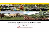 Síntesis del Sector Agropecuario en Barrancabermeja 2017ccbarranca.org.co/ccbar/images/documentos/competit... · establecer el inventario y participación de la actividad agropecuaria,