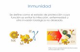 Condiciones nutricionales y ambientales que regulan la distribución de los …depa.fquim.unam.mx/amyd/archivero/U5b_Inmunidad_19697.pdf · 2012-05-10 · Flujo longitudinal de aire