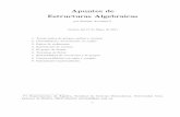 Apuntes de Estructuras Algebraicas - Academia Cartagena99 · Apuntes de Estructuras Algebraicas por Enrique Arrondo(*) Version del 17 de Mayo de 2011 1. Teor´ıa basica de grupos,