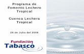 Programa de Fomento Lechero Tropical Cuenca Lechera ... - SELAiberpyme.sela.org/Documentos/ClusterLacteosTabasco.pdf · Fondo PYME / FIRCO Valor del Proyecto $8,153,499 Capacidad