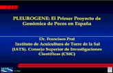 PLEUROGENE: El Primer Proyecto de Genómica de Peces en …PLEUROGENE: El Primer Proyecto de Genómica de Peces en España Dr. Francisco Prat Instituto de Acuicultura de Torre de la