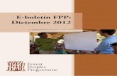 E-boletín FPP: Diciembre 2012 - Forest Peoples Programme · 2017-01-08 · E-boletín FPP: Diciembre 2012 1 Estimados amigos: La importancia de garantizar el respeto por los derechos