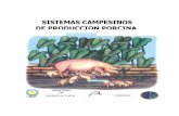 Sistemas campesinos de produccion porcinabibliotecadigital.agronet.gov.co/bitstream/11348/3923/1...Valle (Cali, Colombia), es ideal para las cocheras y también para instalaciones
