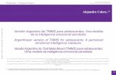 Versión Argentina del TMMS para adolescentes: Una medida ...pepsic.bvsalud.org/pdf/cnps/v7n1/a07.pdf · que permite evaluar la IE percibida a través de 48 reactivos que evalúan