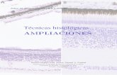 Tecnicas histol´ ogicas´ AMPLIACIONES - Universidade de Vigo · elecci on del jador, formaci on de pigmentos de he-mate na o de formalina acida, adherencia de las mues-tras al recipiente