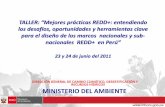 RECURSOS HÍDRICOS MINISTERIO DEL AMBIENTEawsassets.panda.org/downloads/e_gomez__participacion_del... · 2012-01-03 · circunstancias nacionales y leyes. (convenio 169 – OIT).
