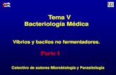 Tema V Bacteriología Médica - Infomeduvsfajardo.sld.cu/sites/uvsfajardo.sld.cu/files/iv... · Objetivos Nombrar las bacterias según la nomenclatura binaria. Enumerar las características