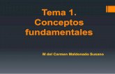 Tema 1. Conceptos fundamentales - UNAMdcb.fi-c.unam.mx/CoordinacionesAcademicas/FisicaQuimica... · Escala Rankine T°R = T°F+ 460 . Escala Fahrenheit T°F = T°R–459.67°R. Escala