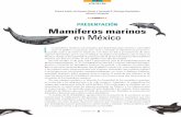 PRESENTACIÓN Mamíferos marinos en México · México, donde se ha registrado la presencia de 52 de las 135 especies de mamíferos marinos que hay en el orbe, lo que significa una