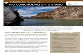 06 desierto chihuahuense río conchos-alto río Bravo · 2018-09-22 · a nivel mundial, hogar de 446 especies de aves, 3,600 de insectos, más de 1,500 plantas y 75 especies de mamíferos,