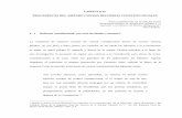 CAPÍTULO IV PROCEDENCIA DEL AMPARO CONTRA REFORMAS …catarina.udlap.mx/u_dl_a/tales/documentos/ledf/garcia_h... · 2004-12-13 · constitucional se “puede hacer sin limitación
