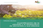 Informe técnico - Commission for Environmental Cooperation€¦ · Citar como: CCA, 2019, Cuantificación de la pérdida y el desperdicio de alimentos y sus efectos, informe técnico,
