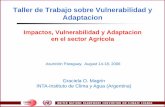 Taller de Trabajo sobre Vulnerabilidad y Adaptacion · Taller de Trabajo sobre Vulnerabilidad y Adaptacion Impactos, Vulnerabilidad y Adaptacion en el sector Agricola Asunción Paraguay.