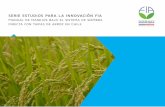 serie estudios para la innovación fia...Serie Estudios para la Innovación FIA Manual de manejos bajo el sistema de siembra directa con taipas de arroz en Chile Esta investigación
