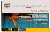 PSICOPATOLOGIA DESCRIPTIVA - Webnodefiles.rorschach-sc.webnode.es/200000023-cfdfdd0da1/AG... · 2017-07-29 · PSICOPATOLOGIA DESCRIPTIVA UNIDAD II ARGENTINA, 2013 Andrea C. Gutiérrez