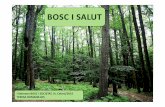 BOSC I SALUT - Baix Montseny · ‐MILLORA COGNITIVA: ‐‐capacitat de treball ‐atenció ‐‐precisió ‐Millora de paràmetres cognitius després de passejades per la natura.