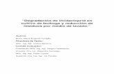 “Degradación de imidacloprid en cultivo de lechuga y ... · “Degradación de imidacloprid en cultivo de lechuga y reducción de residuos por medio de lavado.” ... resistencia
