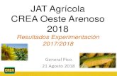 JAT Agrícola CREA Oeste Arenoso 2018creaoestearenoso.org.ar/wp-content/uploads/2018/08/...Dk 6910 0 1000 2000 3000 4000 5000 6000 7000 8000 9000 10000 20000 35000 50000 65000 1°