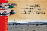 Proyecto Raíz: emergencia protección medios vida …...PERÚ 2 Proyecto Raíz: De la emergencia a la recuperación y protección de medios de vida afectados por heladas en el distrito