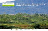 Bosques, árboles y 2012 agroforestería · y resultados respecto a los cinco temas centrales del CRP-FTA (T1-T5) y cuatro temas transversales: espacios naturales en observación,