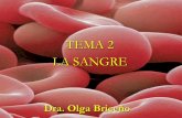TEMA 2 LA SANGRE · 2011-11-20 · HEMATOCRITO Definición : Relación porcentual entre el volumen eritrocitario y el volumen total sanguíneo. El recuento de hematocrito es la proporción