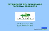 EXPERIENCIA DEL DESARROLLO FORESTAL BRASILEÑO · 2011-10-31 · • Incorporar 20 millones de hectáreas de la Amazonia y 560 mil del nordeste al régimen de Manejo Forestal Sustentable,